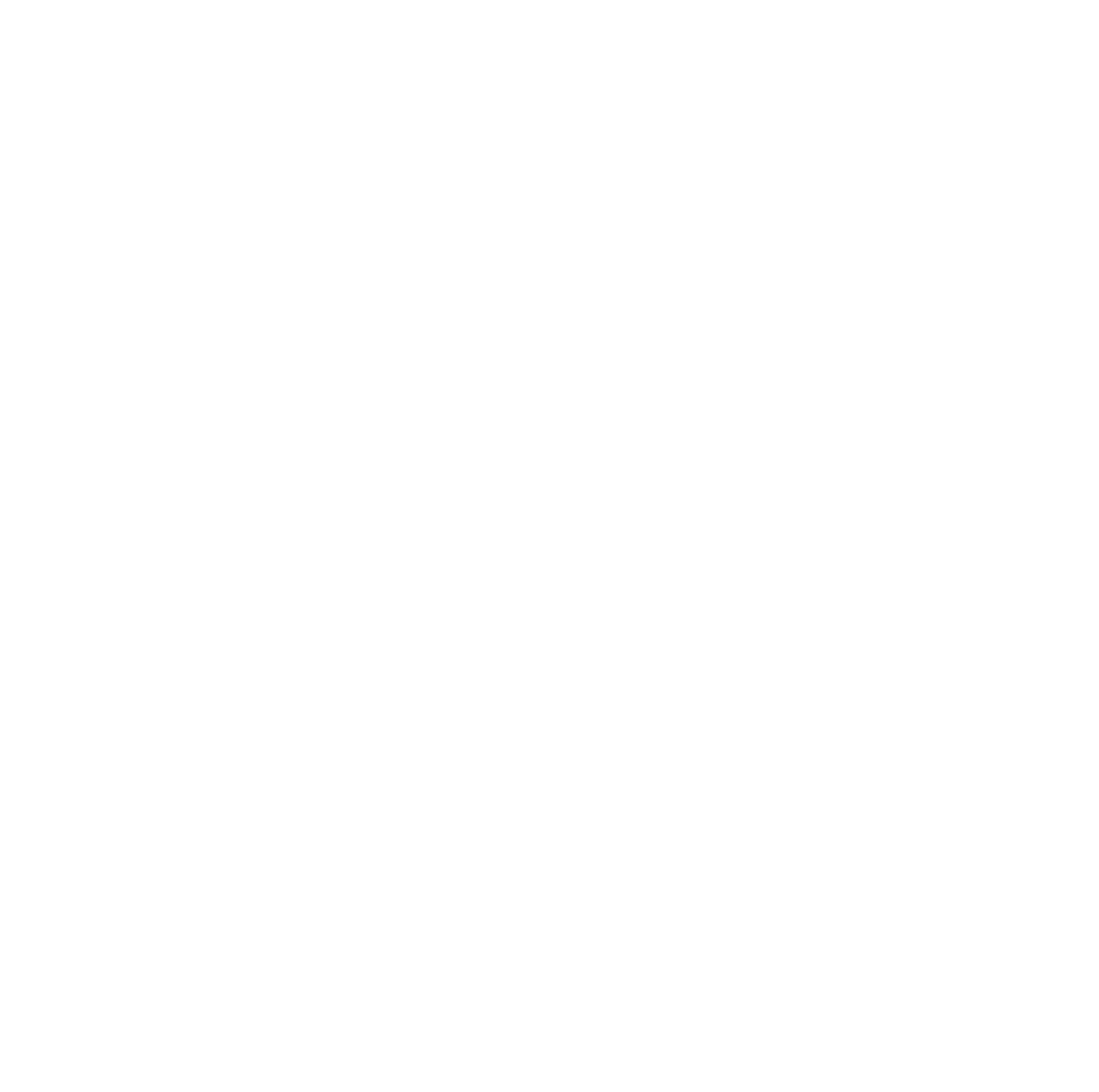 NETSA Logo blanco